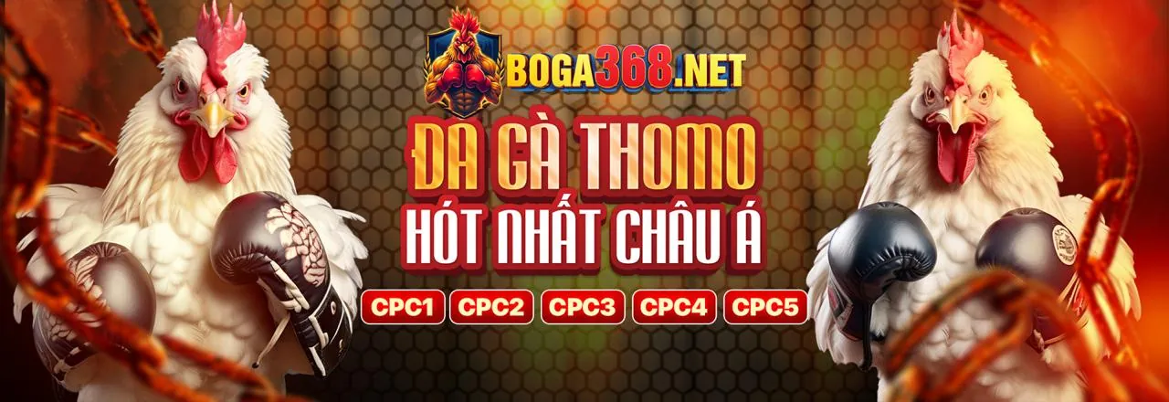 Bảo mật tài khoản tại 6ff.con
